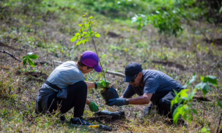 Trabaja Ayuntamiento por un mejor medio ambiente: Alberto Islas