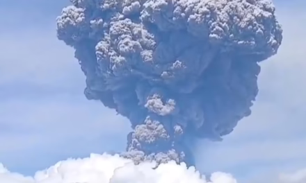 Video:Indonesia eleva la alerta volcánica al máximo tras potente erupción del monte Lewotobi
