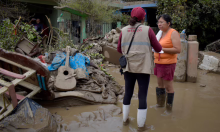 Más de 17 mil viviendas censadas en Veracruz; nadie se quedará sin ser atendido