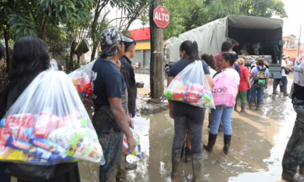 Veracruz sustituye seguros ineficaces por un Fideicomiso estatal sólido y transparente