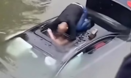 Video: Héroe sin capa, Hombre se lanzó a un río para rescatar a un conductor en China
