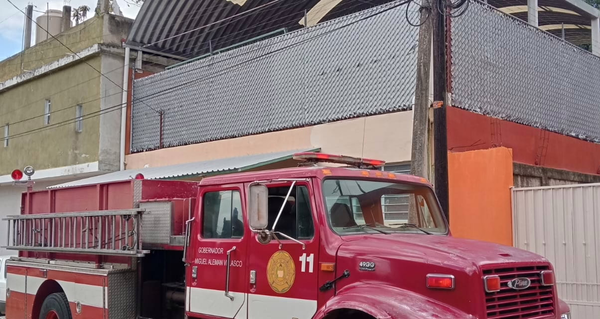 Retiran Bomberos nido de avispas de Jardín de Niños en la Colonia Unepri