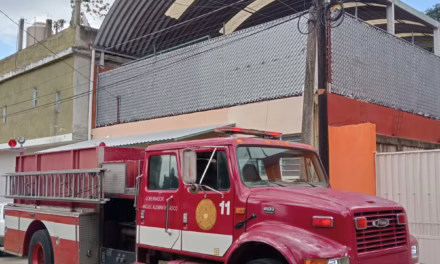 Retiran Bomberos nido de avispas de Jardín de Niños en la Colonia Unepri