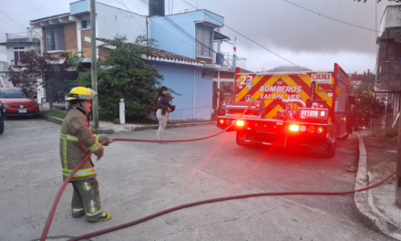 Bomberos controlan incendio de área verde en Xalapa
