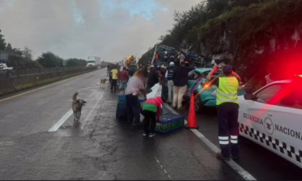 Se accidenta tractocamión en la Xalapa – Perote, actos de rapiña