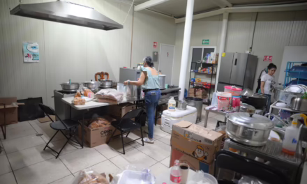 Más de 20 mil hogares veracruzanos reciben recursos inmediatos para reconstrucción de vivienda, comercios y cultivos