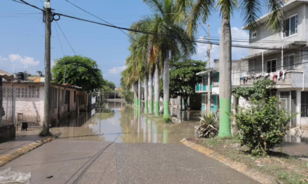 Todas las comunidades afectadas ya reciben apoyo alimentario y médico