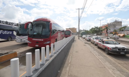Con respaldo de la Presidenta, Veracruz está de pie y avanza en la limpieza y atención sanitaria: Rocío Nahle