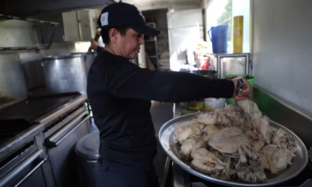 Plan Tajín: cerca de 36 mil comidas y 11 mil 528 paquetes alimentarios entregados