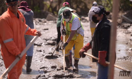 Veracruz no está solo: ya se nota el cambio, familias de Poza Rica ante avances en la limpieza