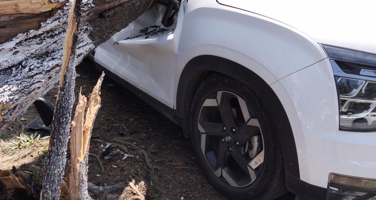 Árbol de gran tamaño cae sobre vehículo cerca de la escuela “Artículo Tercero”