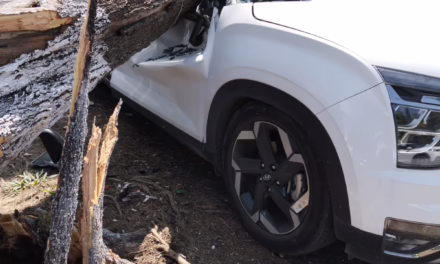 Árbol de gran tamaño cae sobre vehículo cerca de la escuela “Artículo Tercero”