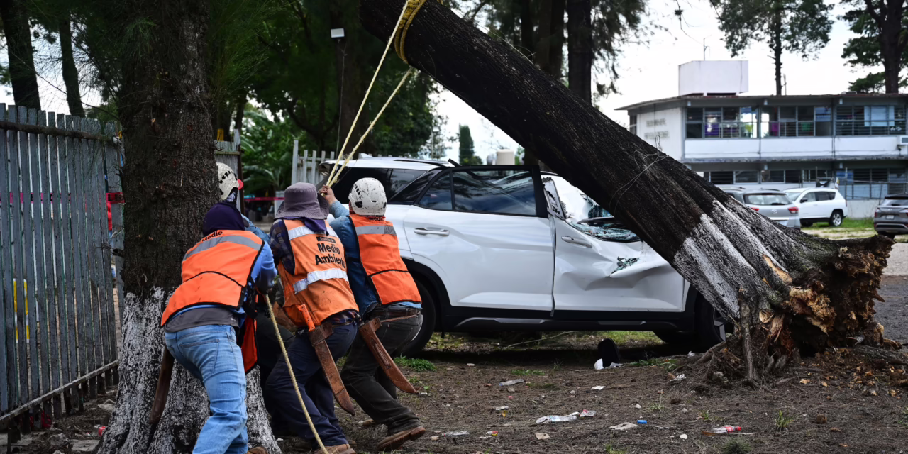Por Frente Frío, activa Ayuntamiento Sistema Municipal de Protección Civil