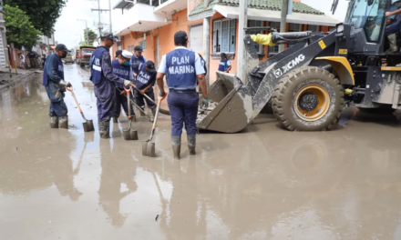 Despliegue masivo de fuerzas Federales y Estatales en Álamo para labores de limpieza