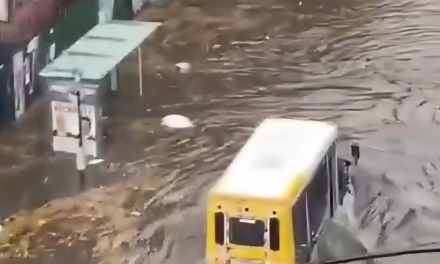 Video:Tormenta con lluvias récord provocó la muerte de dos personas en Nueva York