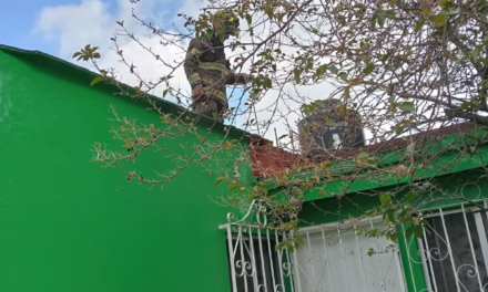 Bomberos controlan fuga de gas en la Colonia Fovissste