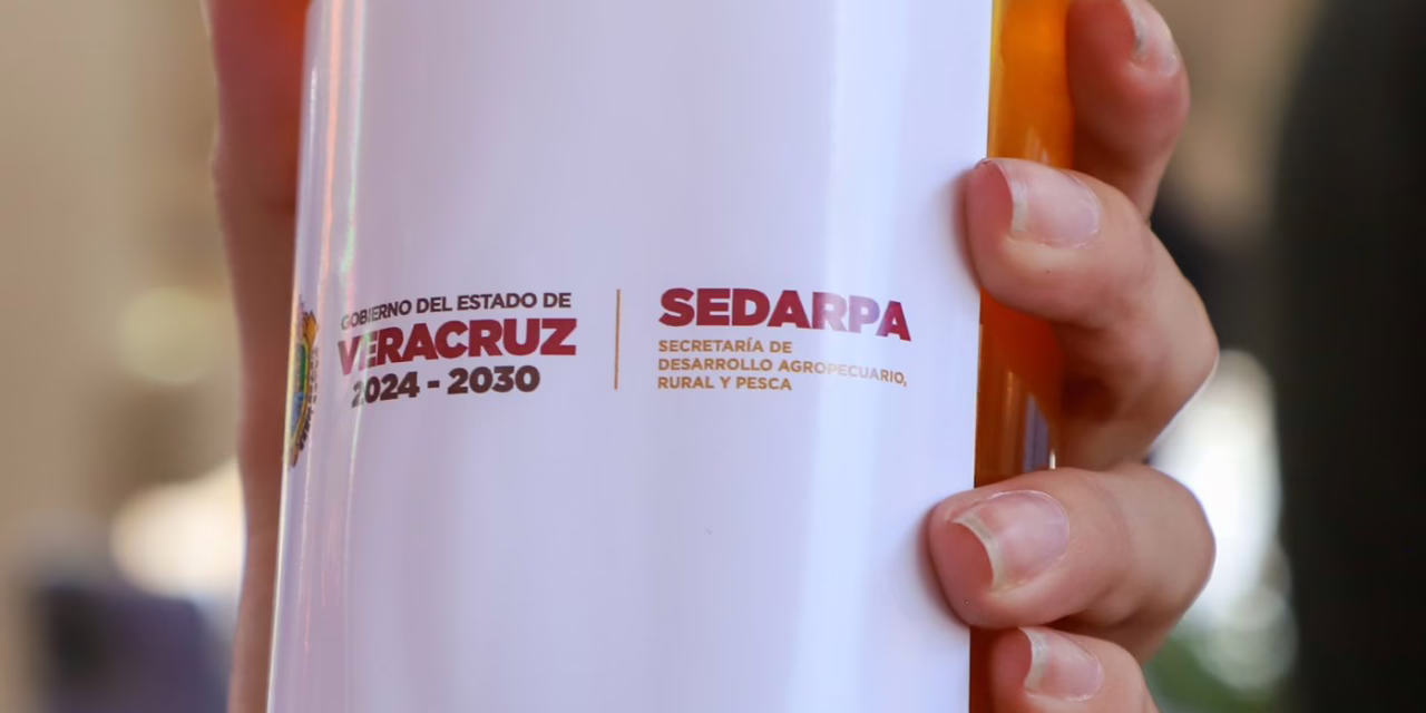 Entrega Sedarpa Fomento Apícola y Meliponicultura para incrementar la producción de miel