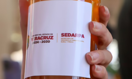 Entrega Sedarpa Fomento Apícola y Meliponicultura para incrementar la producción de miel