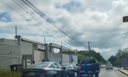 Accidente en la carretera Las Trancas -Coatepec