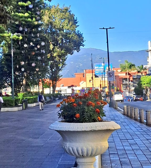 Ambiente templado a fresco durante el mediodía, y fresco a frío por la noche y madrugada en el Estado de Veracruz