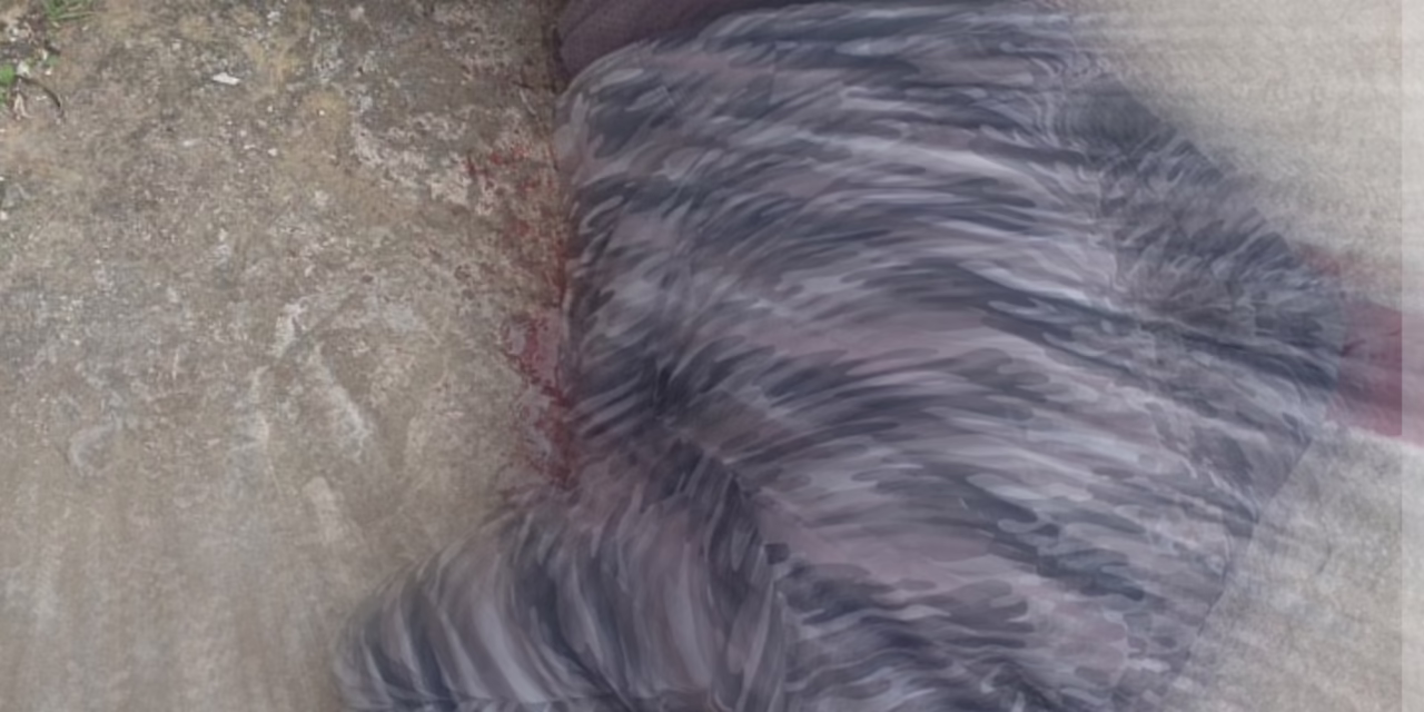 Persona cae de 2 metros altura en la Colonia Arroyo Blanco de Xalapa