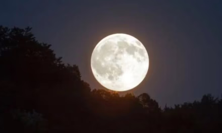 La Luna del Castor brillará como la superluna más intensa del año