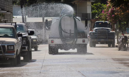 La recuperación de Álamo continúa como una tarea colectiva