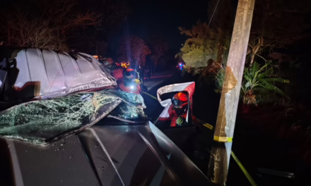 Tragedia en la Xalapa-Coatepec: Mujer Muere y Otra Resulta Herida Tras Volcadura de Camioneta