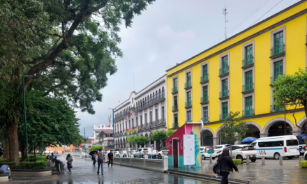 Veracruz permanecerá bajo la influencia del frente frío No. 13 y la masa ártica que le genera e impulsa; por lo tanto, se esperan condiciones para lluvias y tormentas muy fuertes