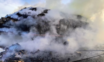 Controlan incendio de Tractocamión Cargado con cartón en la Xalapa-Veracruz