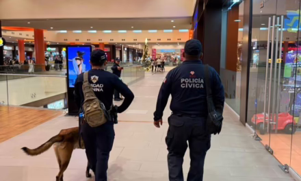 Veracruz mantiene jornadas de Buen Fin sin incidentes relevantes: SSP