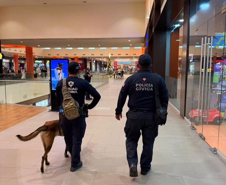 Veracruz mantiene jornadas de Buen Fin sin incidentes relevantes: SSP