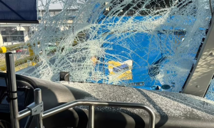 Chocan trolebuses en Iztapalapa CDMX, hay varios heridos