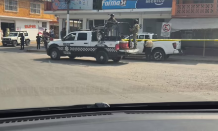 Fallece cuando conducía su camioneta en el poblado de Carrizal