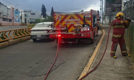 Sofocan incendio de pastizal en avenida 20 de Noviembre; bomberos controlan la situación