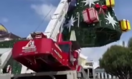Grúa que participaba en el armado de un árbol de Navidad volcó y causó la muerte de un trabajador