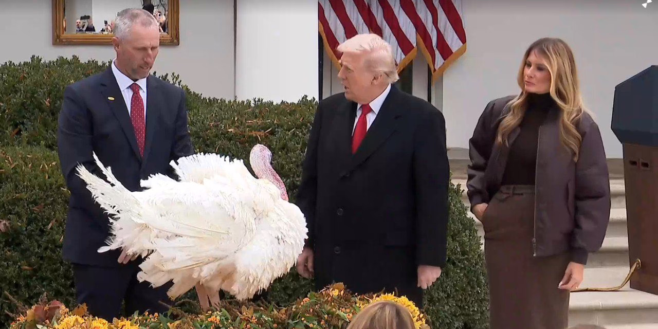 Trump indulta a dos pavos por Acción de Gracias