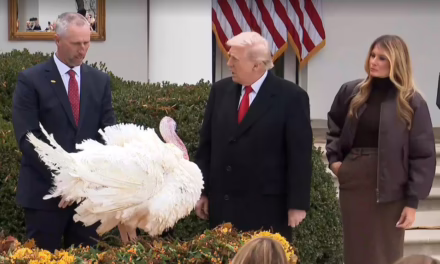 Trump indulta a dos pavos por Acción de Gracias