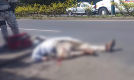 Motociclista pierde la vida en la carretera Xalapa–Coatepec