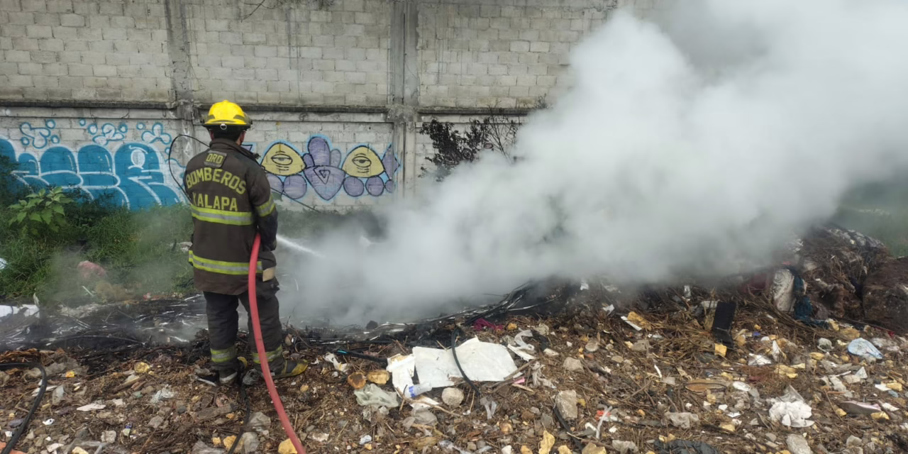 Incendio de pastizal en Colonia Revolución moviliza a Bomberos