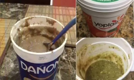 Por esta razón no deberías reutilizar los envases de yogur para guardar comida