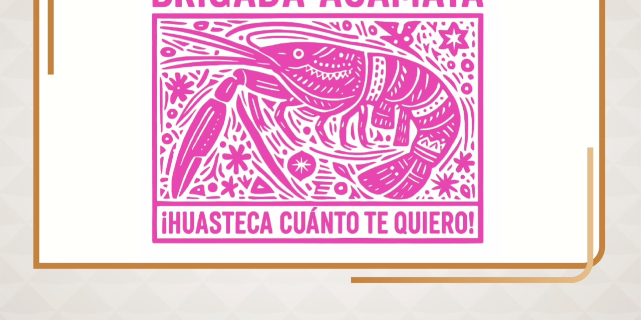 Artistas y colectivos invitan a disfrutar del Festival Música por la Huasteca en el JEX