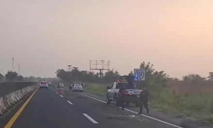 Motociclista pierde la vida en la carretera Xalapa-Veracruz