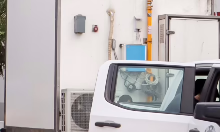 Inspecciones, monitoreo ambiental y operativos en el sur de Veracruz: PMA