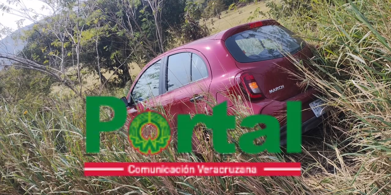 Vehículo Nissan March se sale de la carretera 180 a la altura de La Mancha