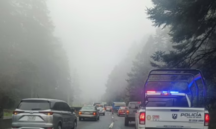 Frente Frío 19 congela al país: lluvias intensas, fuertes rachas de viento y temperaturas bajo cero