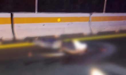 Persona pierde la vida atropellada en la carretera Xalapa-Veracruz