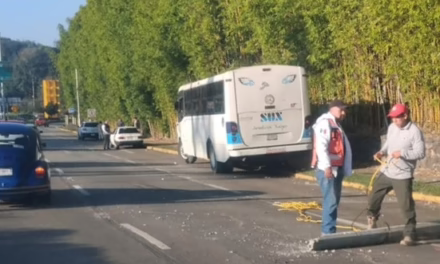 Camión derriba poste sobre Circuito Presidentes