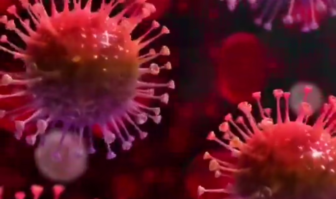 Diversos países europeos, entre ellos España, Reino Unido y Francia, registran niveles epidémicos de influenza H3N2