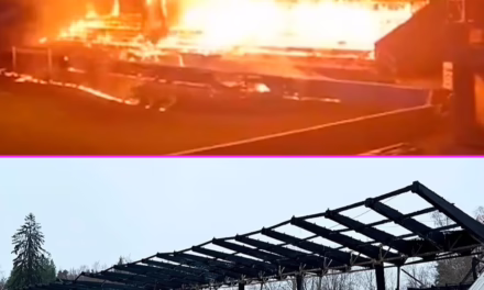 EQUIPO DE FÚTBOL DESCENDIÓ Y PRENDIERON FUEGO SU ESTADIO  EN FINLANDIA 